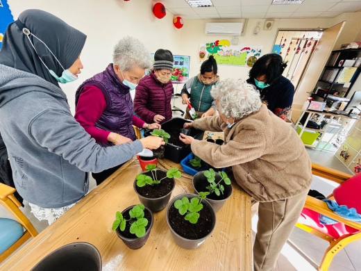 正念園藝活動首場回顧：種植草莓，種下希望的種子 